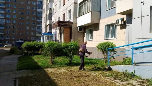 В Барнауле скашивают траву во всех районах города. Фото
