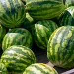 Массовая торговля арбузами началась на рынках Барнаула