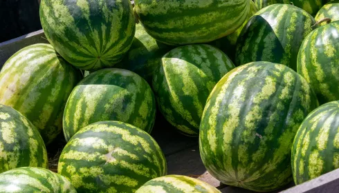 Массовая торговля арбузами началась на рынках Барнаула