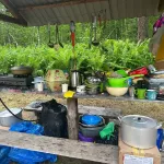 В Республике Алтай нашли нарушения в работе экопарка и турбазы