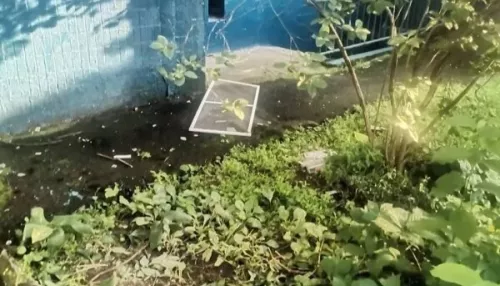 В Москве шестилетняя девочка выпала из окна девятого этажа и выжила