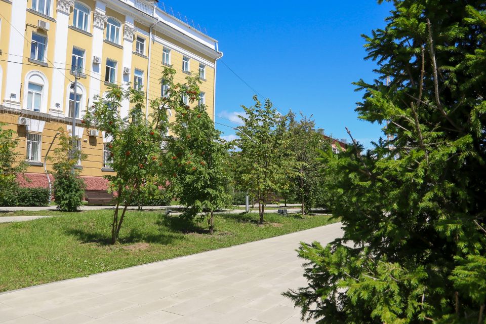 Сквер Медиков в Барнауле. Лето 2025 года Сквер Медиков в Барнауле. Лето 2025 года