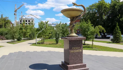 Золотая чаша в зеленой чаще: чем живет молодой сквер Медиков в центре Барнаула