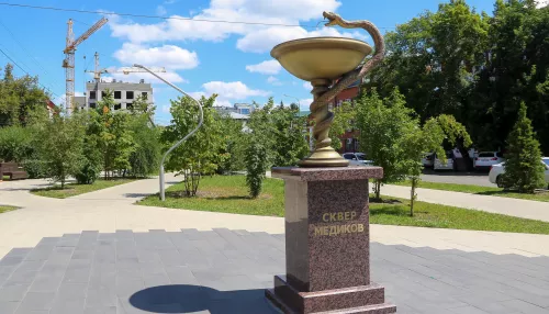 Золотая чаша в зеленой чаще: чем живет молодой сквер Медиков в центре Барнаула