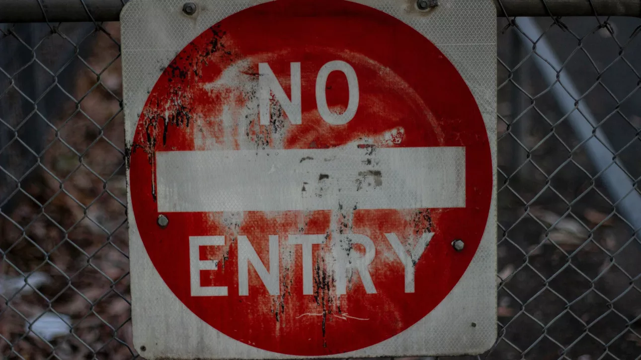 Еще два новых очага бешенства выявили в Алтайском крае