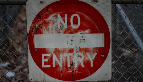 Сразу два новых очага бешенства выявили в Алтайском крае. Где объявлен карантин