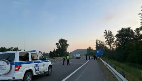 На Чуйском тракте неизвестный водитель насмерть сбил пешехода и уехал