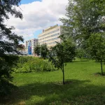 Парк в масштабах города. Какие территории Барнаула забронировали под зеленый каркас