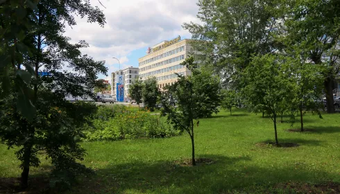 Парк в масштабах города. Какие территории Барнаула забронировали под зеленый каркас