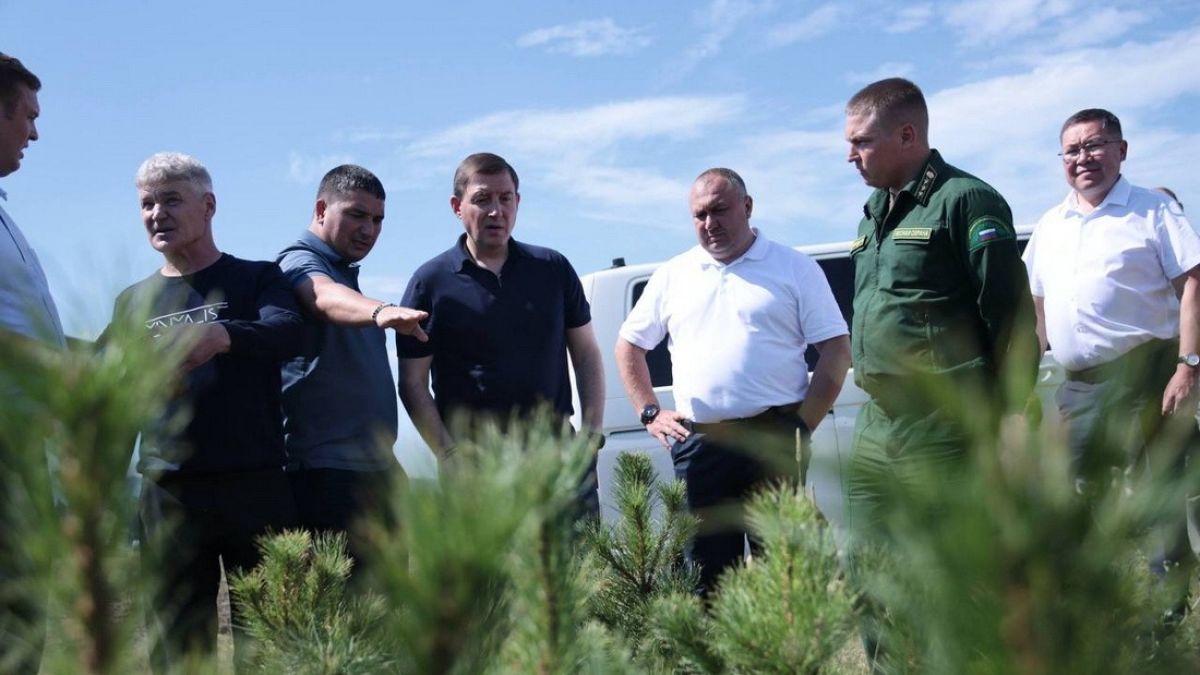  В Республике Алтай увеличат финансирование лесной отрасли