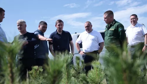 В 2026 году в Республике Алтай значительно увеличат финансирование лесной отрасли