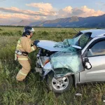 В Республике Алтай слетела с дороги машина, один человек пострадал