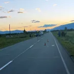Пожилая жительница Республики Алтай сбила на дороге собаку и попала в больницу