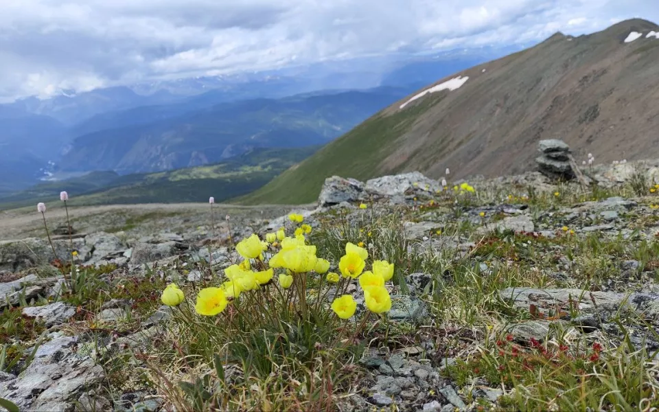 Гостей меньше, цены выше: эксперты рынка туризма на Алтае фиксируют его охлаждение