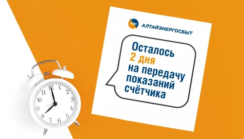 Алтайэнергосбыт: простые способы передачи показаний приборов учета