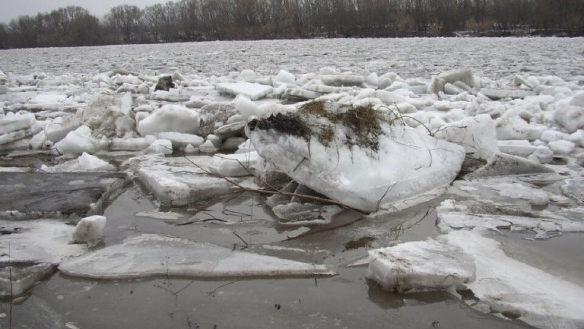 На алтайских реках начал вскрываться лед
