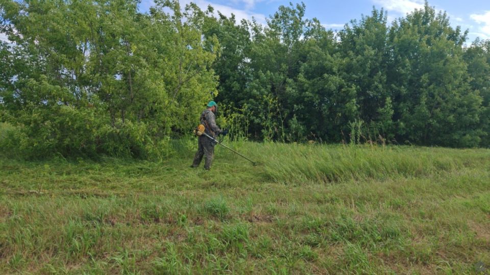 Покос травы и чистка дорог в Барнауле