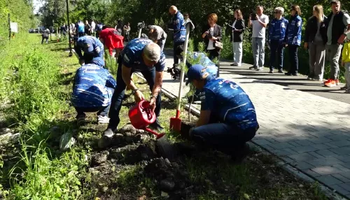 В Майме состоялась экологическая акция Метан – топливо победителей