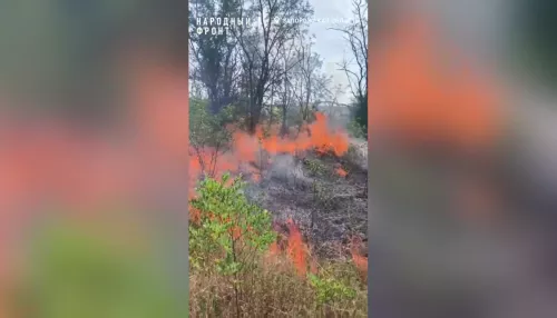 Боец СВО из Республики Алтай снял горящую лесополосу на передовой. Видео
