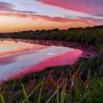 Жители Алтайского края запечатлели облака, похожие на северное сияние. Фото