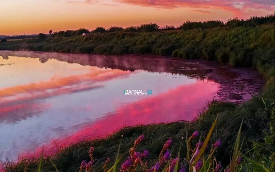 Жители Алтайского края запечатлели облака, похожие на северное сияние. Фото