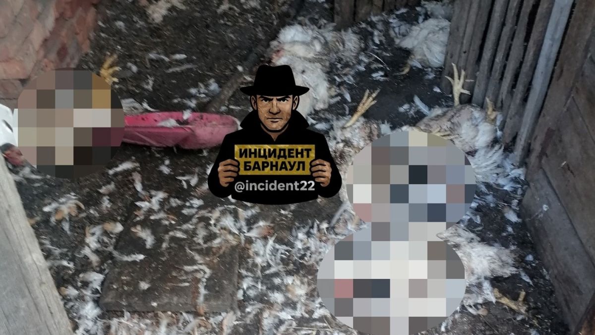 Погибшая птица