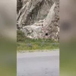 В Республике Алтай сняли на видео вандалов, расписавших скалу