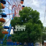 В Рубцовске женщина могла сорваться с колеса обозрения из-за головокружения