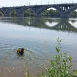 44-летний мужчина утонул в водоеме Ребрихинского района