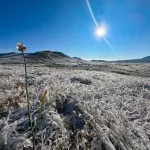 Высокогорье Алтайского заповедника усыпало снегом. Фото