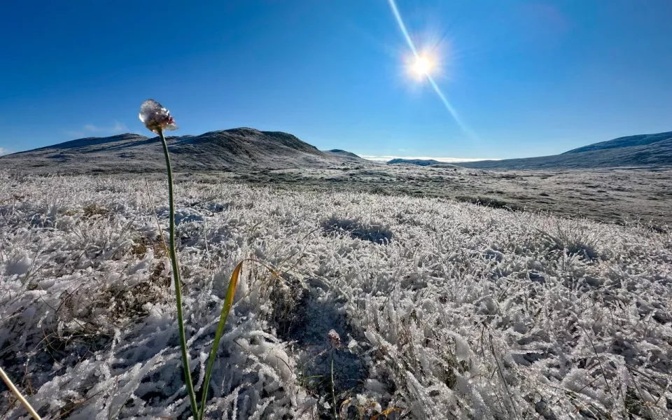 Высокогорье Алтайского заповедника усыпало снегом. Фото