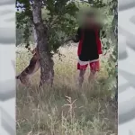 Живодер в Барнауле пытался задушить свою собаку на глазах у прохожих