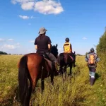 Искали на конях и с дронами: под Новосибирском пропавшего парня нашли мертвым в лесу
