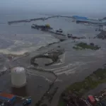 Цунами вынесло на берег Курил много рыбы и находки из прошлого