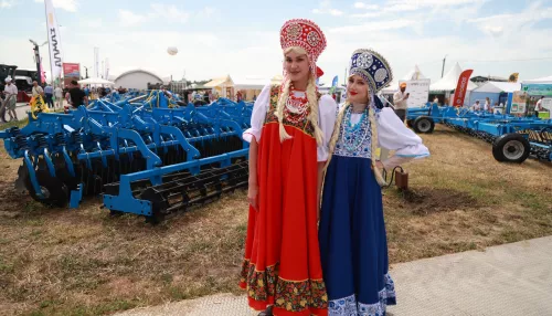 Более 4 млн рублей потратят на охрану площадки Дня сибирского поля в 2026 году