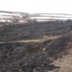 Пожароопасный сезон объявлен в Алтайском крае