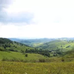 Озера, курорты и горы: где отдохнуть в Алтайском крае в 2026 году. Топ-10 локаций