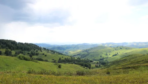 Озера, курорты и горы: где отдохнуть в Алтайском крае в 2026 году. Топ-10 локаций