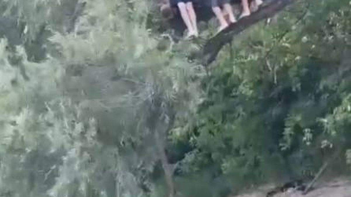 Детям запрещено находиться у водоемов без присмотра взрослых
