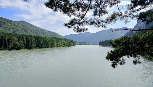 Турпоток в Алтайском крае в 2025 году остался на уровне 2024-го, но его еще считают