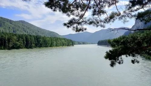 Турпоток в Алтайском крае в 2025 году остался на уровне 2024-го, но его еще считают