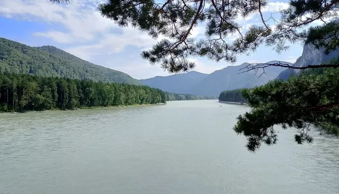 Турпоток в Алтайском крае в 2025 году остался на уровне 2024-го, но его еще считают