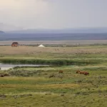 В Сайлюгемском нацпарке запечатлели просторы горных степей. Фото