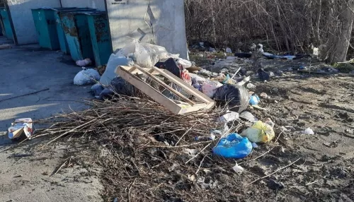 Стихийная свалка образовалась в одном из поселков Барнаула