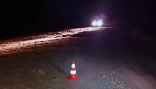 На склоне горы в Республике Алтай перевернулся снегоболотоход, есть пострадавшие