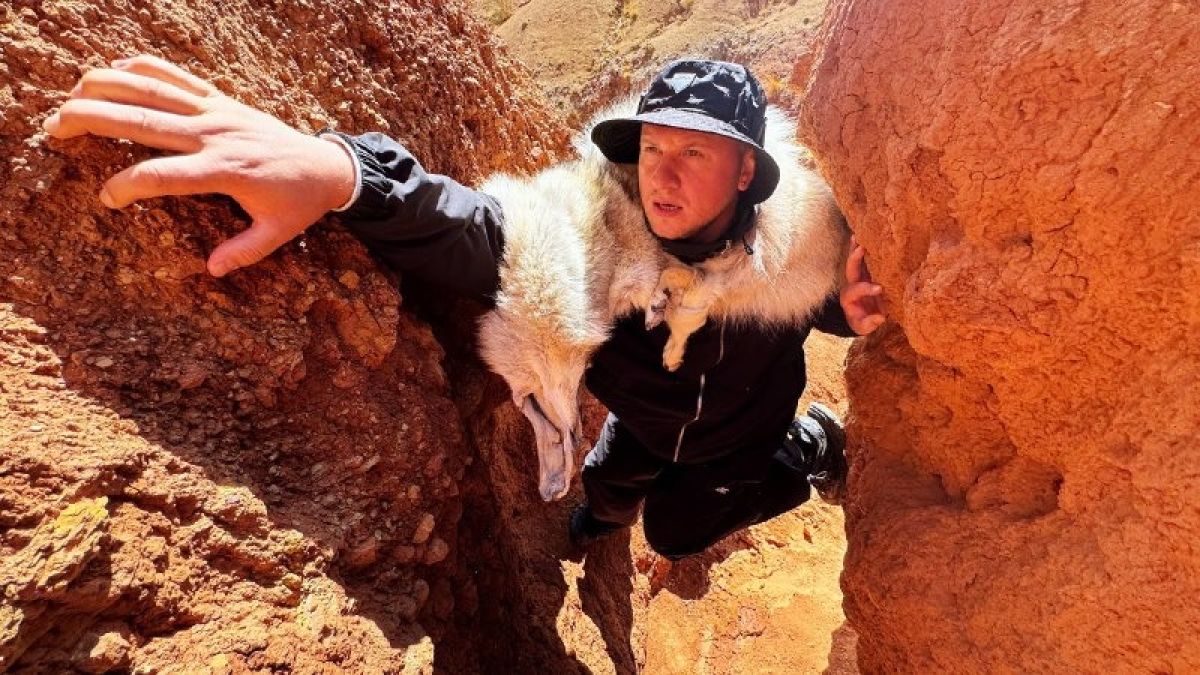 Актер Дмитрий Журавлев в Республике Алтай