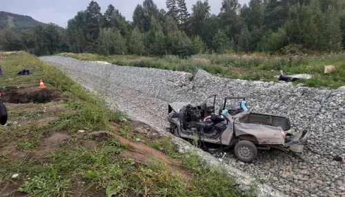 Водитель и шесть пассажиров УАЗа попали в больницу после ДТП в Республике Алтай