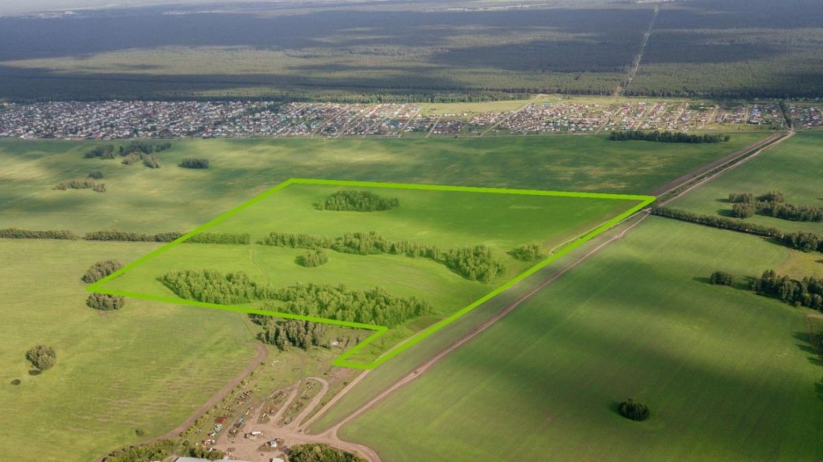 Участок 74,73 га  под поселок на ул. Мамонтова во Власихе 