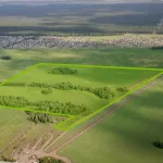 Землю для двух коттеджных поселков под Барнаулом снова выставили на торги