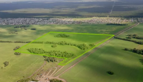Девелоперы оказались не заинтересованы в земле для коттеджных поселков во Власихе